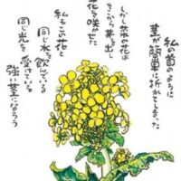 富岡美術館を囲む会「菜の花」